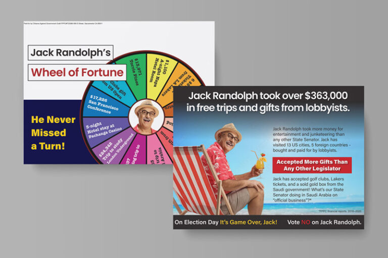 Political Campaign Direct Mail Example – State Senate Campaign – Campaign Mailer